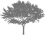 graphicelement-arbre-gris-1